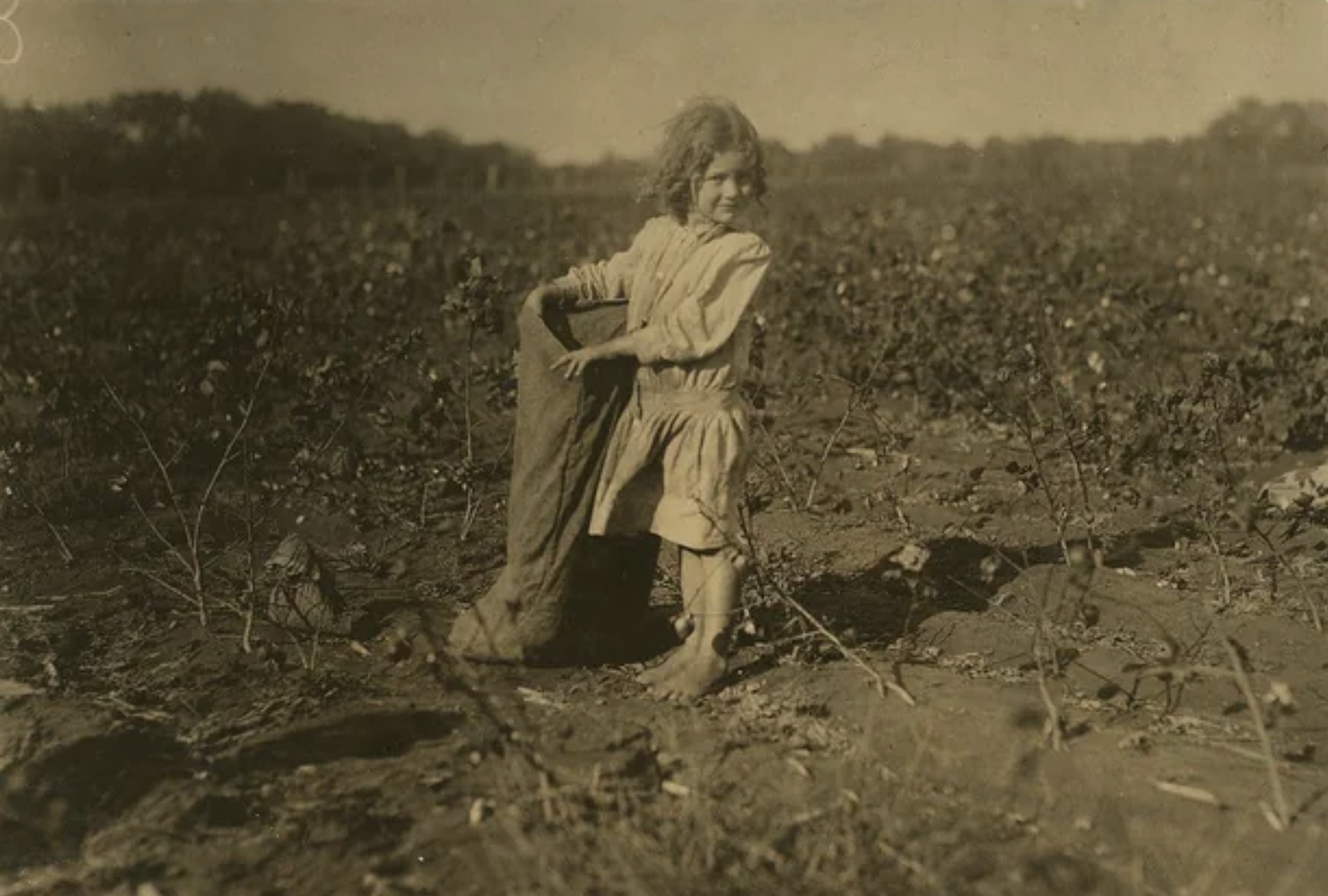 A five-year-old cotton picker named Edith on H.M. Lane's farm in Bells, Texas 